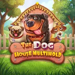 The Dog House Multihold gra w Parimatch Casino dla graczy z Polski The Dog House Multihold gra w Parimatch Casino dla graczy z Polski